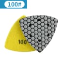 100 Grit