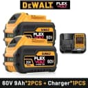 60V2A x2 Charger x1
