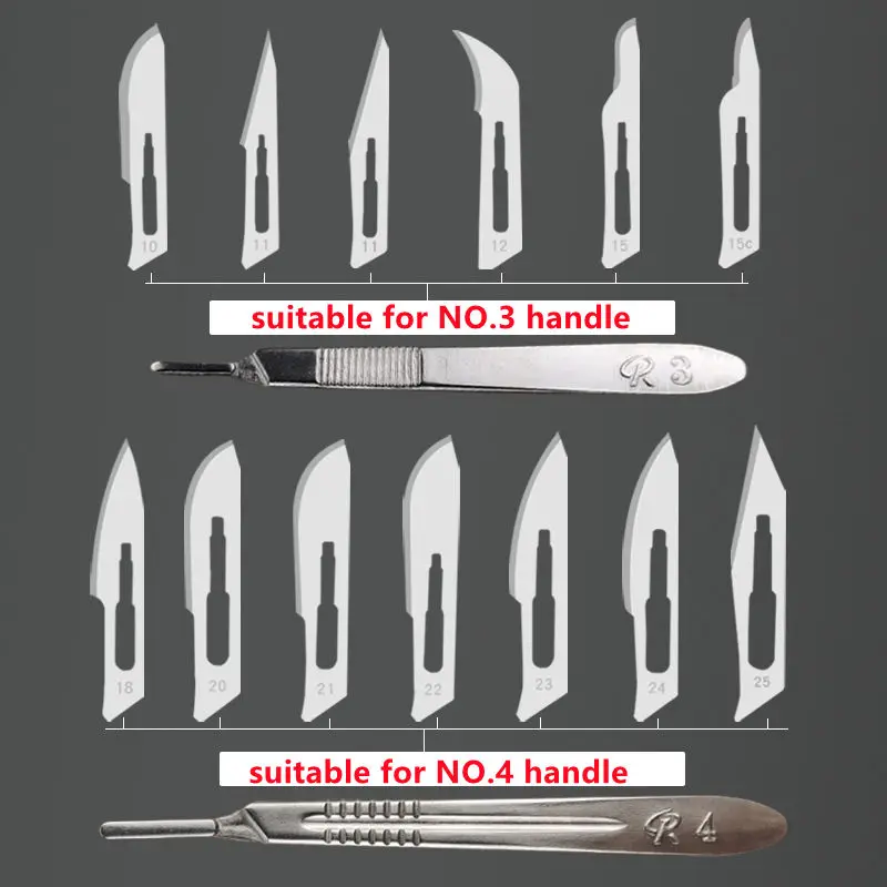 Surgical Scalpel Blades | Sterile Carbon Steel | 20-100 Pack for Precision Cutting & Crafting - Thumbnail 3