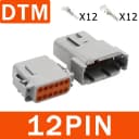 DTM-12P