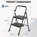 2-Step Ladder