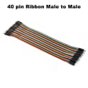 40pin Ribbon M-M