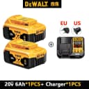 20V 2PCS 6Ah-Charger