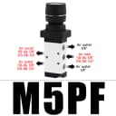 M5PF