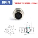 8P -BH Female