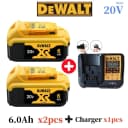 20V 6.0Ah x2 + Charger