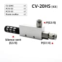 CV-20 w 10 Fitting