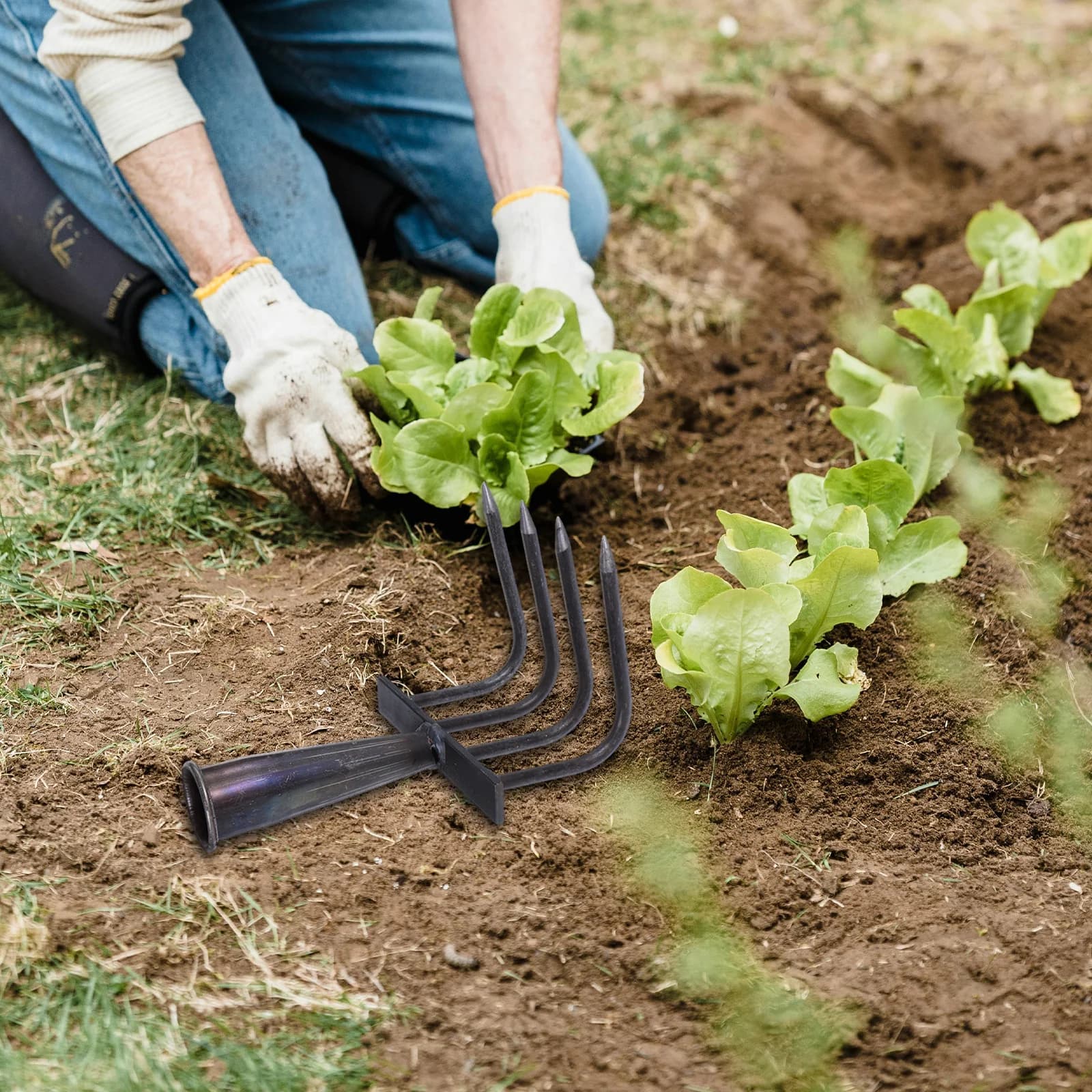 Duty Garden Rake | 4-Tine Manganese Steel Design | Professional Soil Loosening & Leaf Removal - Thumbnail 2