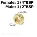 BX2-4