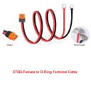 XT60i-F to Ring