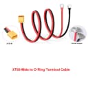 XT60-M to Ring