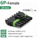 6P Female
