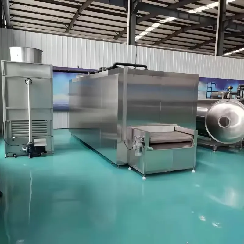 Commercial-Grade IQF Tunnel Freezer | Rapid Flash Freezing for Food Preservation | Industrial Blast Freezer - Thumbnail 3