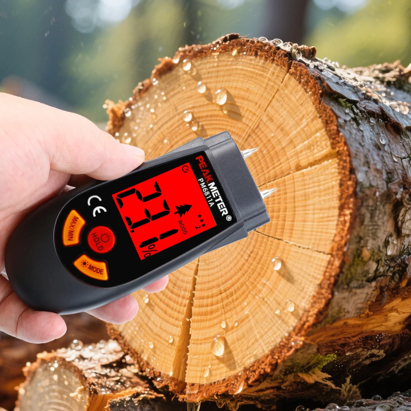 Wood Moisture Meter | Accurate Floor & Material Humidity Tester | PM6811A - Thumbnail 2
