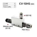 CV-10 w 10 Fitting