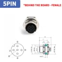 5P -BH Female