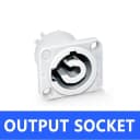 Output Socket