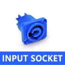 Input Socket