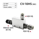 CV-10 w 6 Fitting