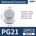 PG21-White-10Pcs