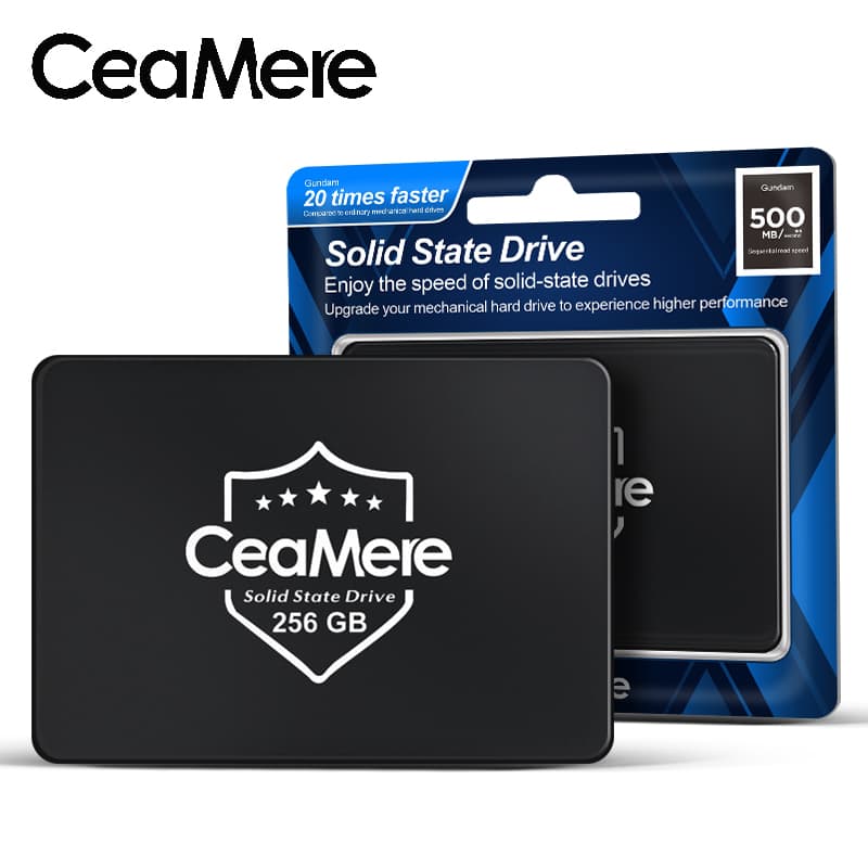A 10-pack of 2.5 inch SSD SATA 3 internal solid-state drives, various capacities.