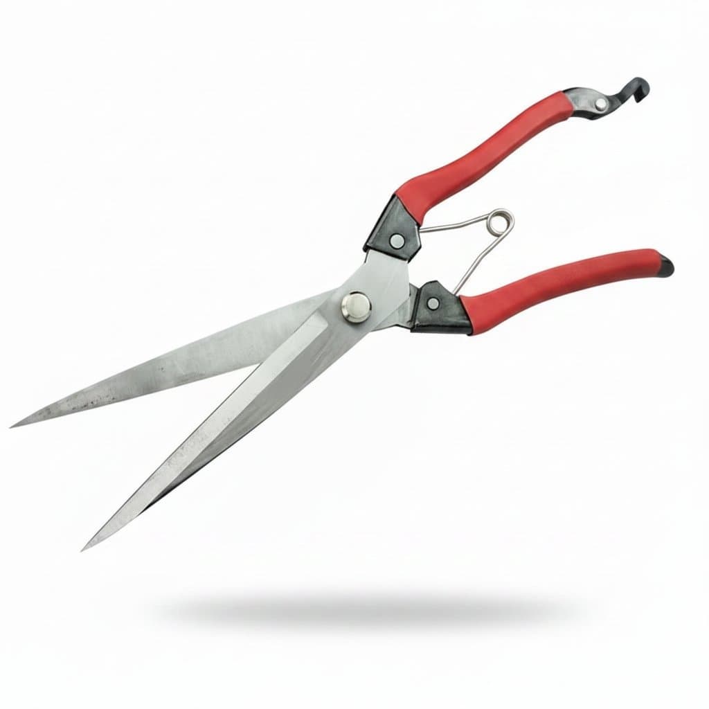 Sheep shears, a close-up of the product.